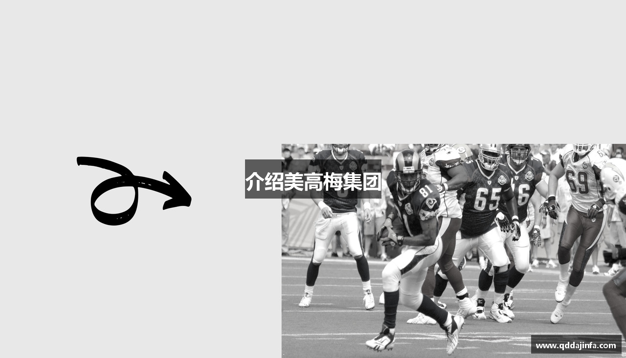 介绍美高梅集团
